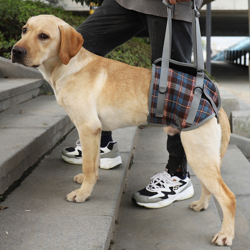 Comfortable Dog Support Harness for Back Legs