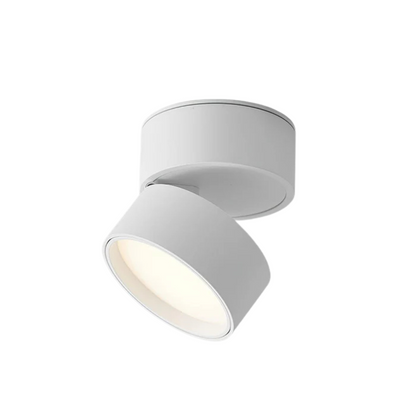 Flexible Dimmable LED Ceiling Light