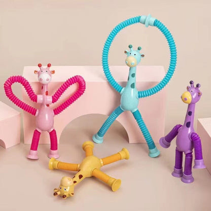 Fun Interactive Pet Toy