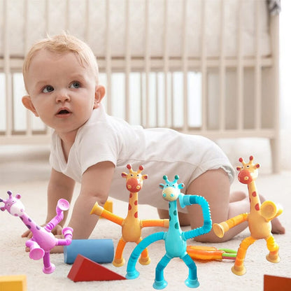 Fun Interactive Pet Toy