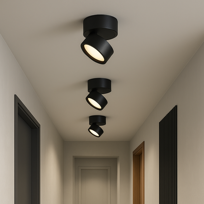 (2 pack) Surface Ceiling Lamp 1
