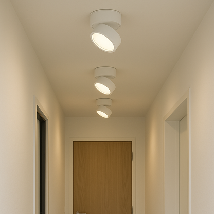 (2 pack) Surface Ceiling Lamp 3