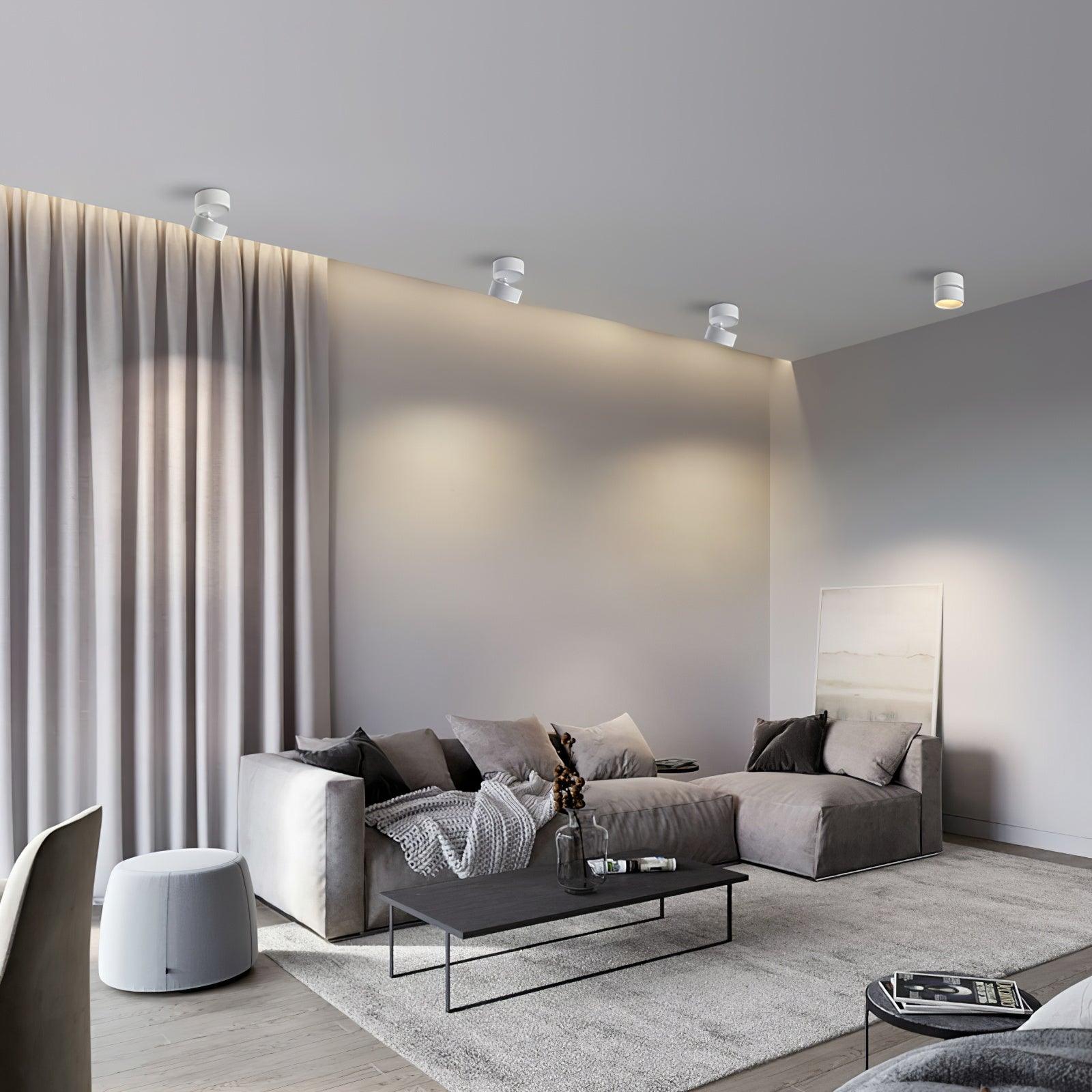 (2 pack) Surface Ceiling Lamp 5