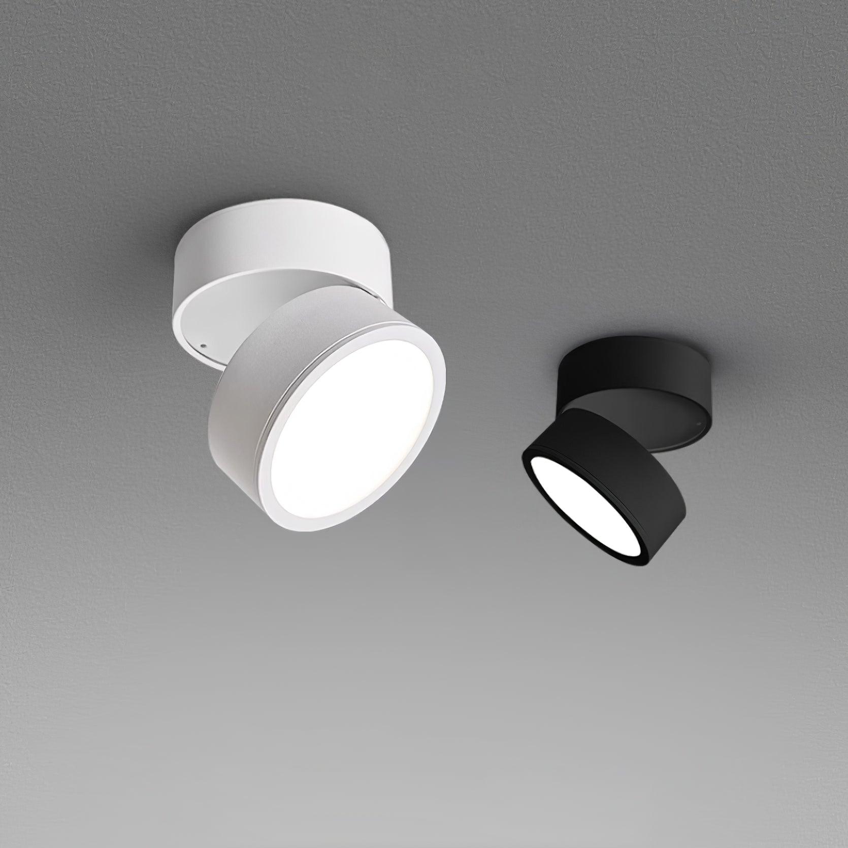 (2 pack) Surface Ceiling Lamp 6