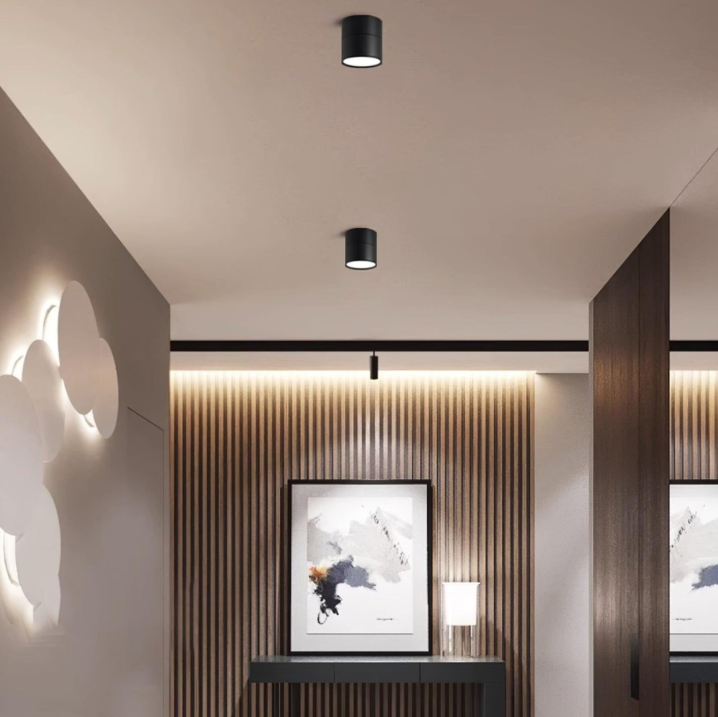(2 pack) Surface Ceiling Lamp 7