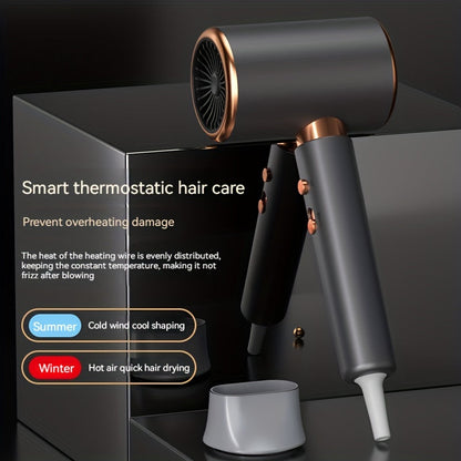Powerful 2000W Salon Hair Dryer with Dual Air Settings