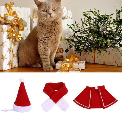 Fun Holiday Pet Costumes