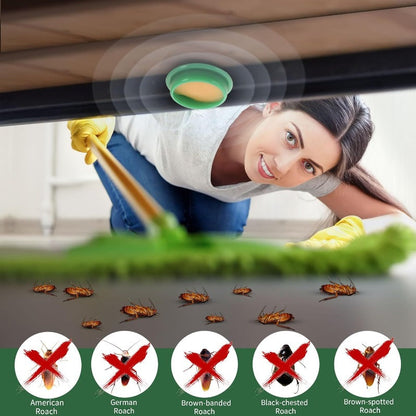 Non-Toxic Home Roach Killer Bait Discs