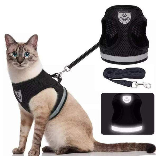 Safe Night Cat Harness and Leash Set for Kittens - Fesara