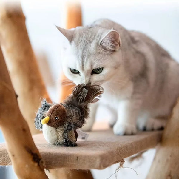 Fun Interactive Cat Toy - Fesara