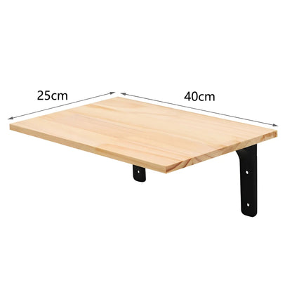 Cat Climbing Wall Shelf with Scratch Post