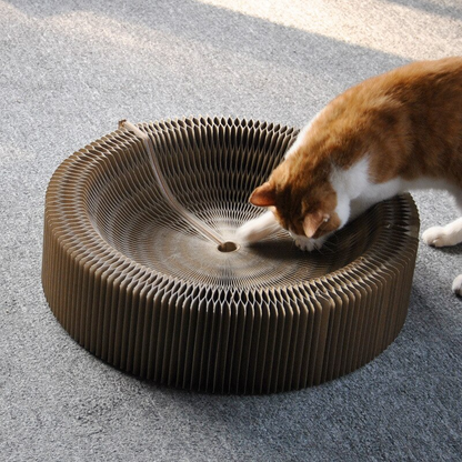 Fesara | Collapsible Cat Scratcher Bed