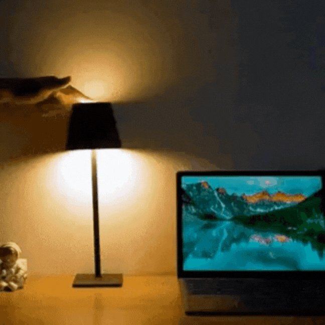 Sleek Contemporary Metal Desk Lamp