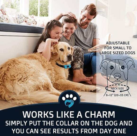 Effective Stop Barking Dog Collar