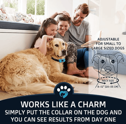 Effective Stop Barking Dog Collar