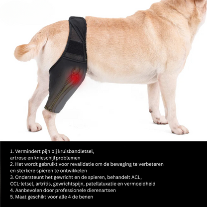 Fesara | Comfortable Dog Knee Support Brace - Fesara