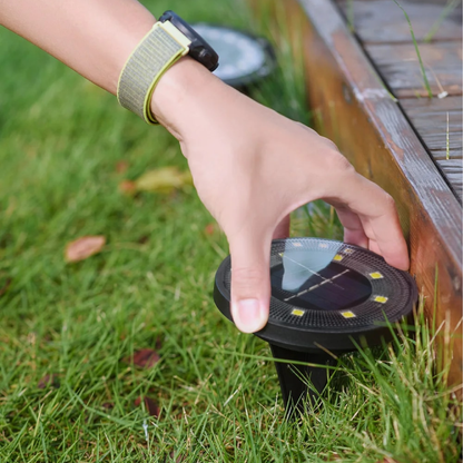 Bright Solar Powered Garden Lights