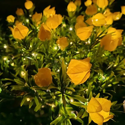 Colorful Solar Powered Garden Lights