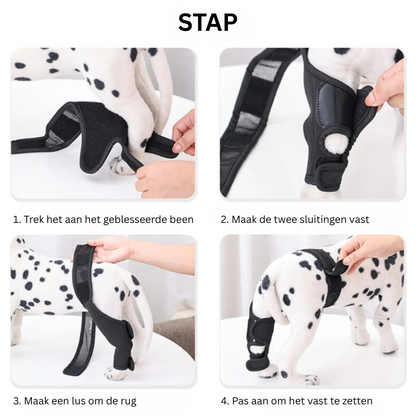 Fesara | Comfortable Dog Knee Support Brace