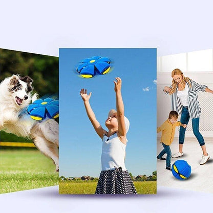 Fun LED Motion Ball Toy