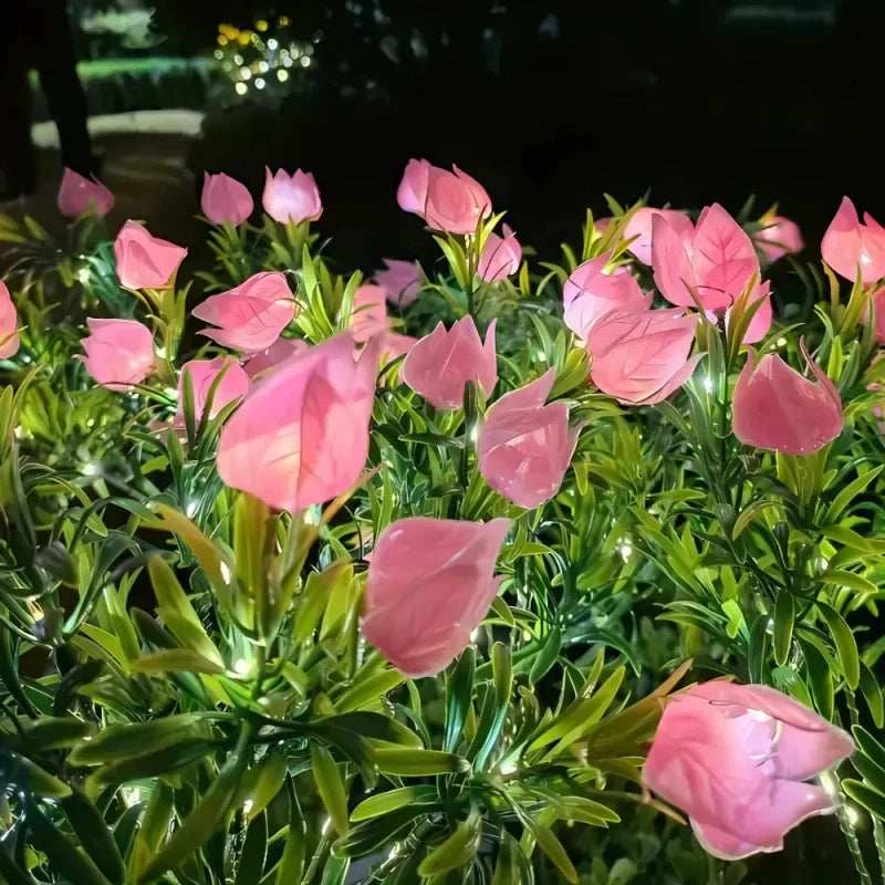 Colorful Solar Powered Garden Lights