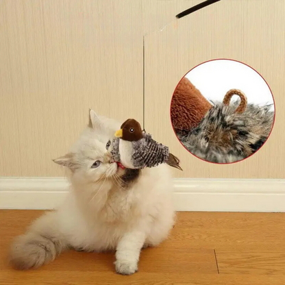 Fun Interactive Cat Toy
