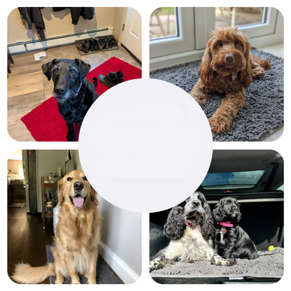 Waterproof Pet Mats – Absorbent Dog Pad - Fesara