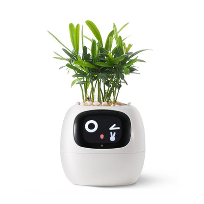Smart Watering Indoor Planter Pot