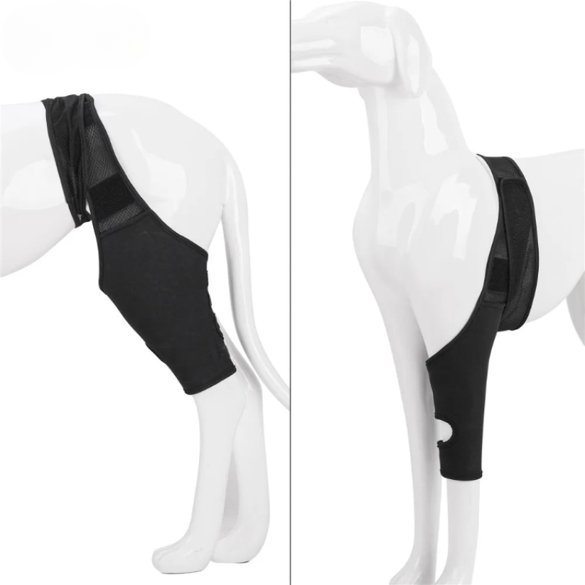 Fesara | Comfortable Dog Knee Support Brace