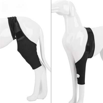 Fesara | Comfortable Dog Knee Support Brace