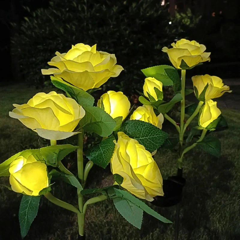 Colorful Solar Powered Garden Lights