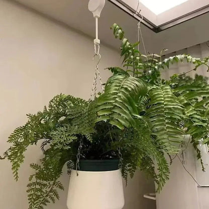 Easy Care Self Watering Planters (2 Pack)