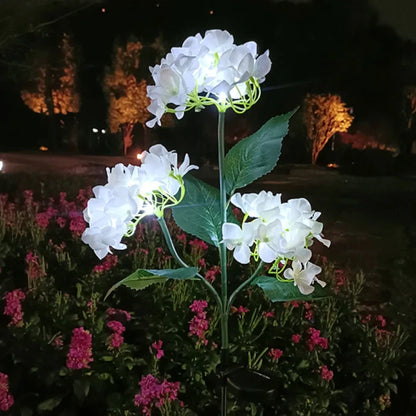 Colorful Solar Powered Garden Lights