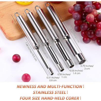 Premium Stainless Steel Fruit Core Remover Set
