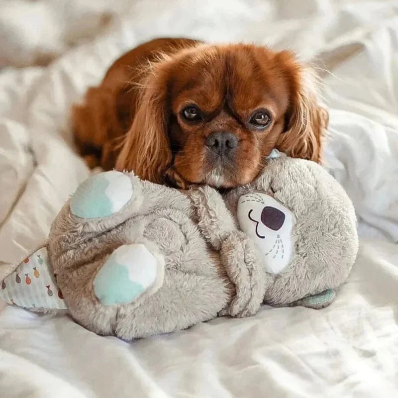 Calming Companion - Gentle Sounds and Lullabies