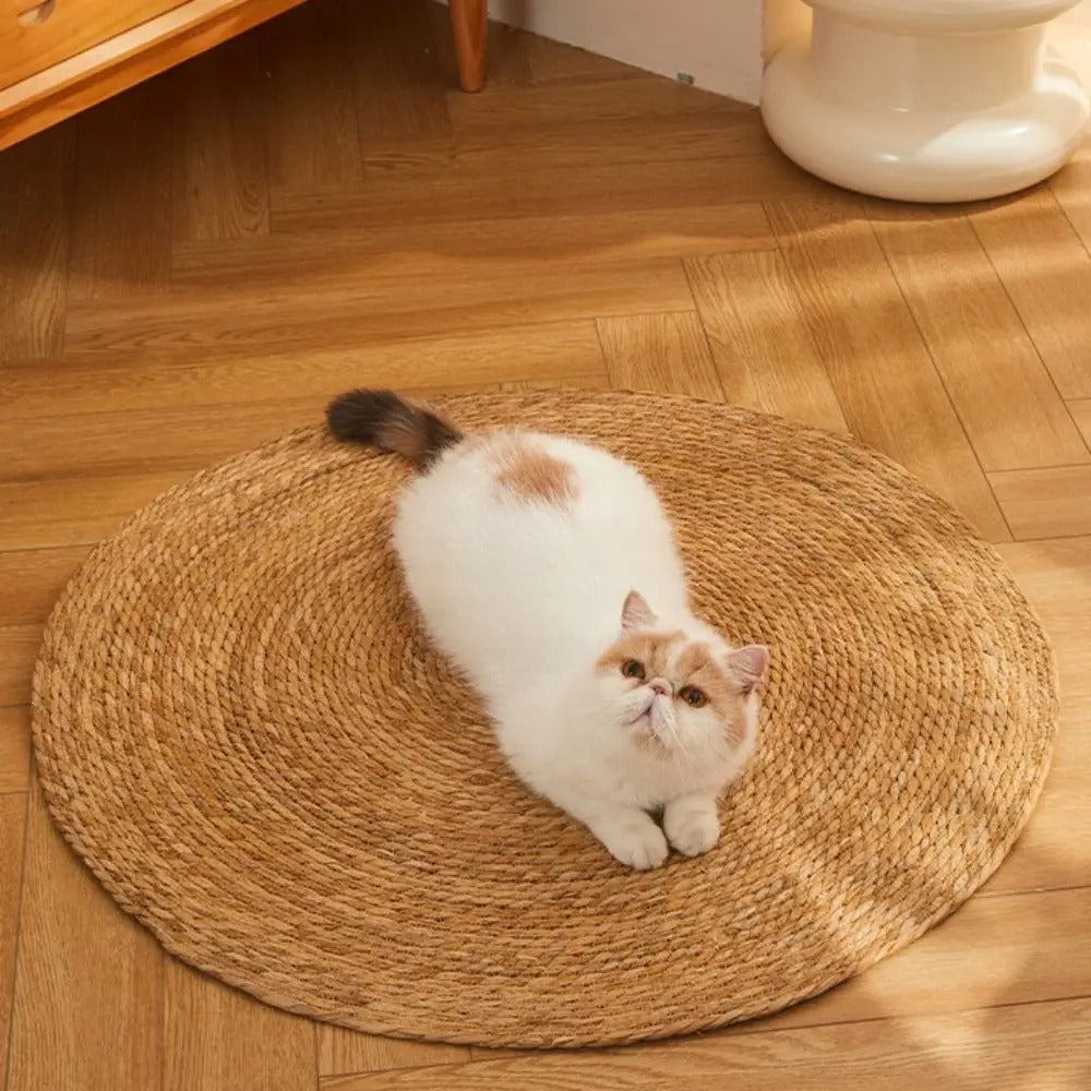 Fesara | KrazeLuxe Matte - Durable Scratch Pad for Cats