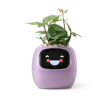 Smart Watering Indoor Planter Pot