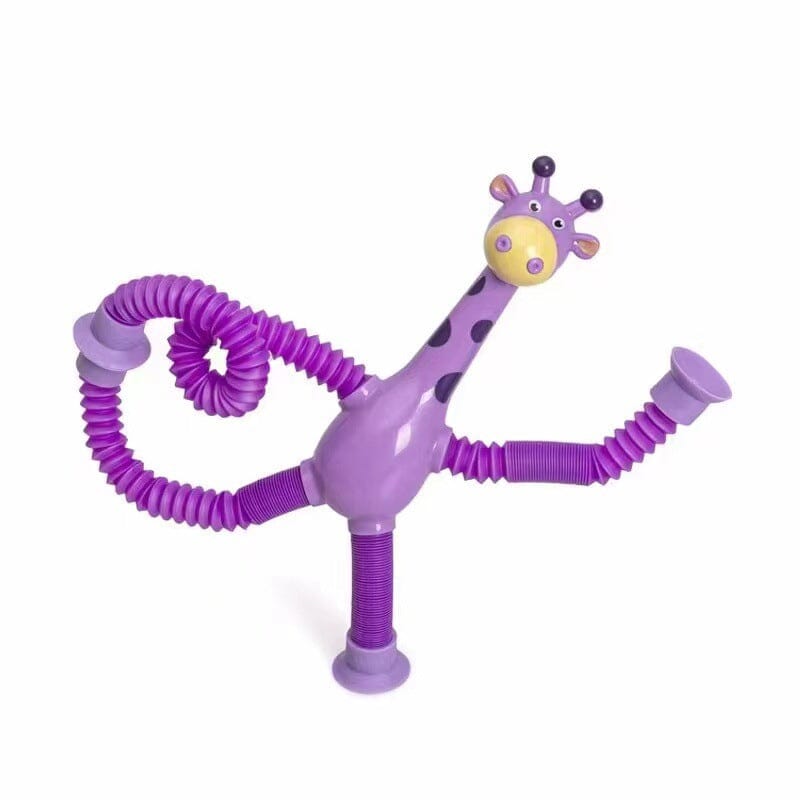 Fun Interactive Pet Toy