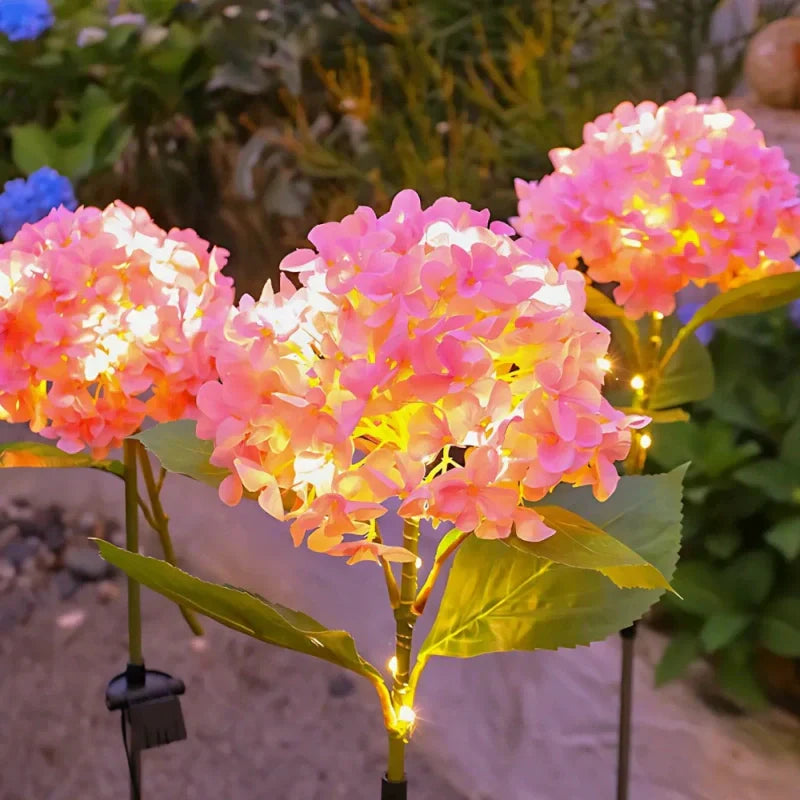 Colorful Solar Powered Garden Lights