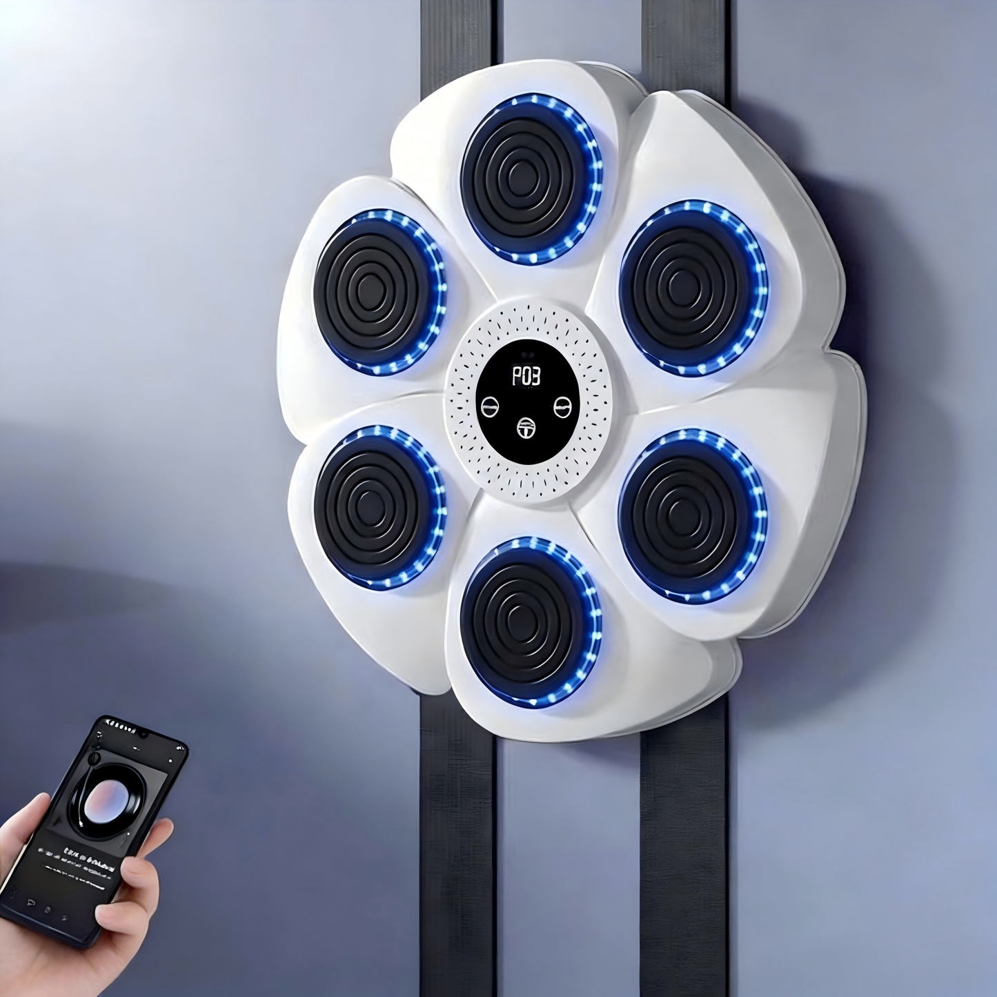 Wireless Home Boxing Punching Bag System