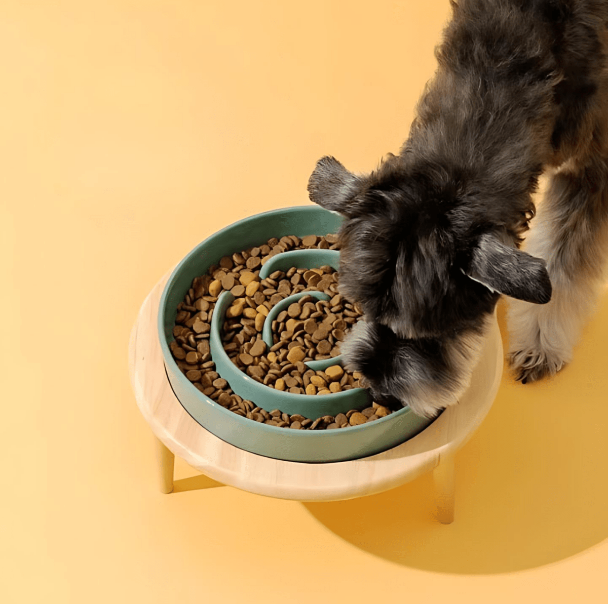 Pet Slow Feeder Bowl for Dogs and Cats