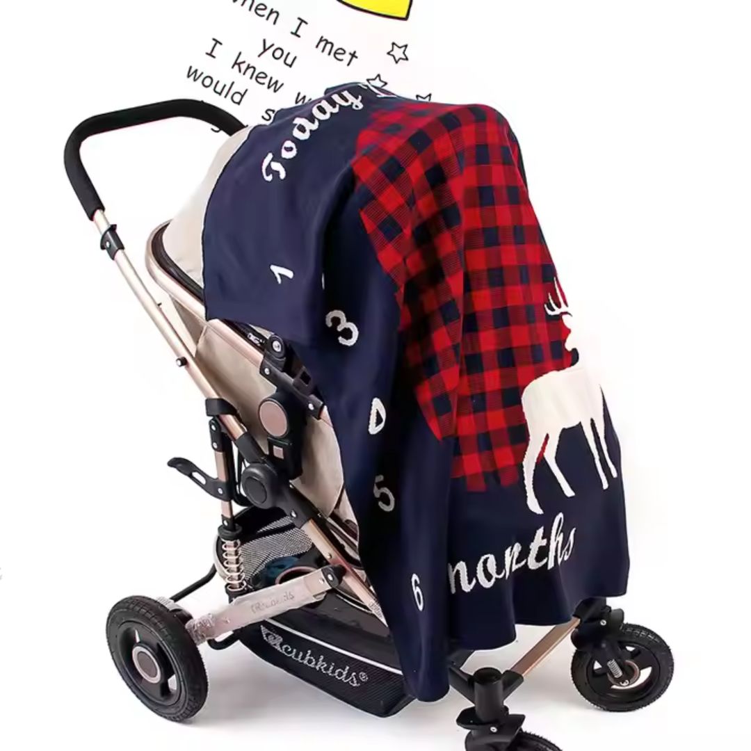 Personalized Baby Photo Blanket with Monthly Markers