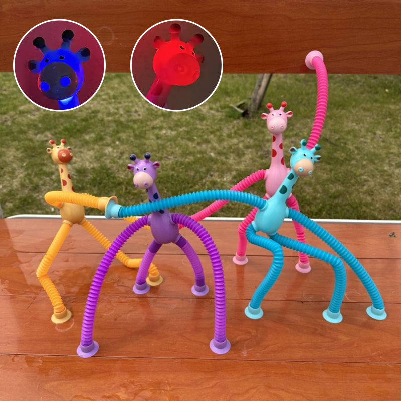 Fun Interactive Pet Toy