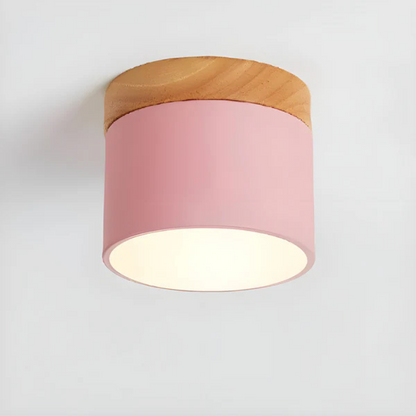Retro Style LED Ceiling Light
