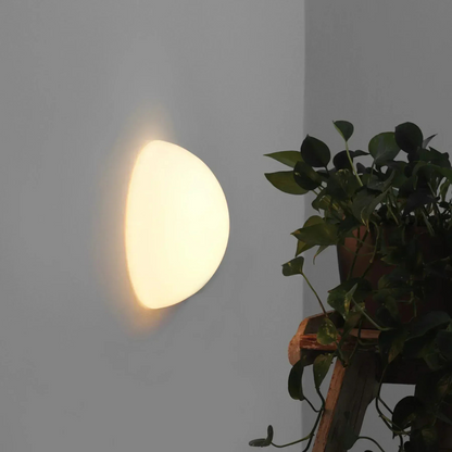 Contemporary LED Outdoor Indoor Wall Light