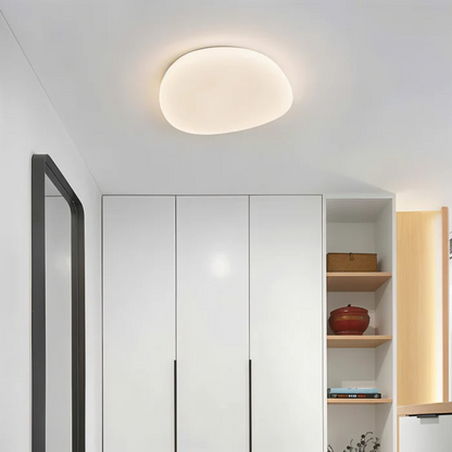 Modern Dimmable Ceiling Light
