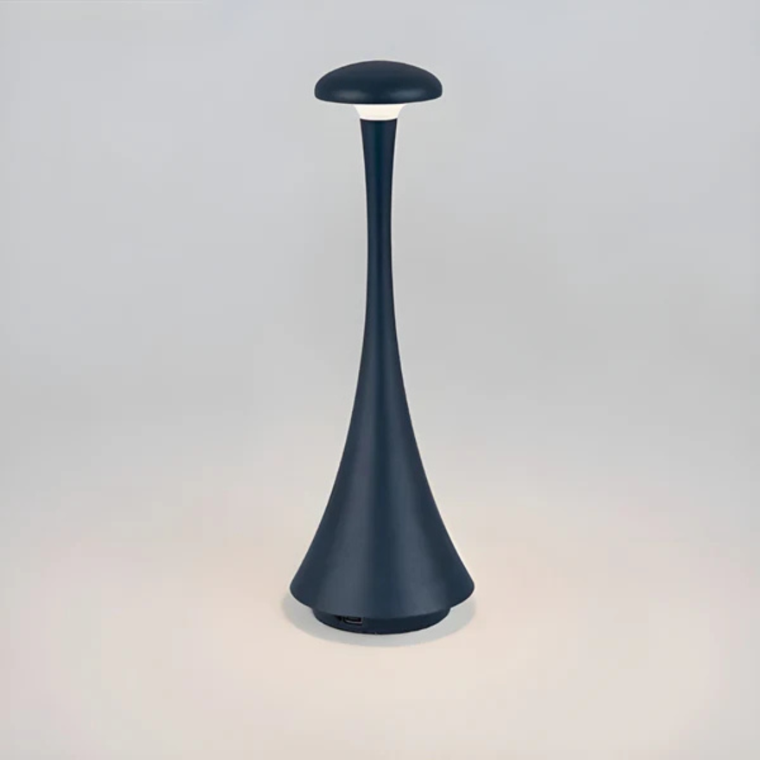 Bright Portable Desk Light