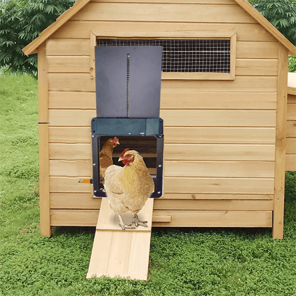 Easy Close Automatic Chicken House Door