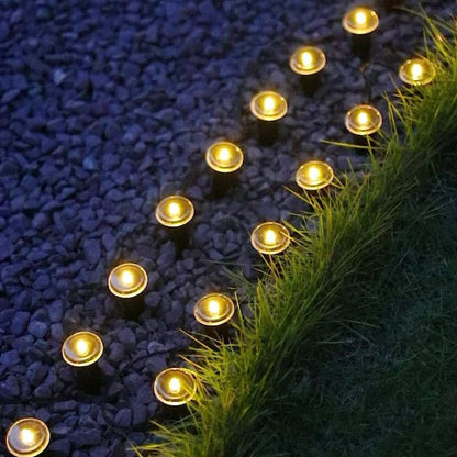 Bright Solar Powered Garden Pathway Lights