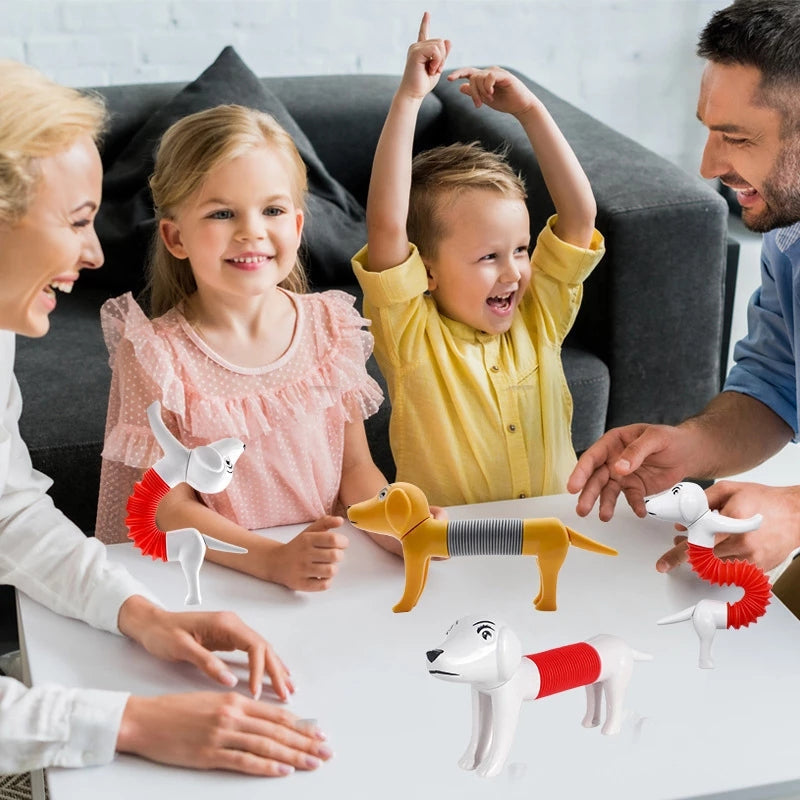 Fun Interactive Pet Toy